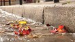 After autumn rain Paris street sewage rainwater flows down the stone paved road