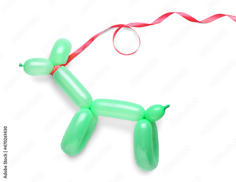 Dog made of balloon on white background