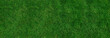 © PsychoBeard - green grass banner for background