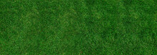Green Grass Banner For Background