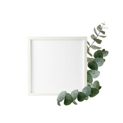 Wall Mural - Empty wooden frame of photo or  poster or picture with eucalyptus twigs isolated on white background.