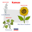Kansas. Set of USA official state symbols