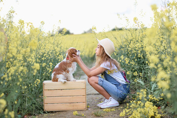 little girl in a rapeseed field with a puppy cavalier king charles spaniel