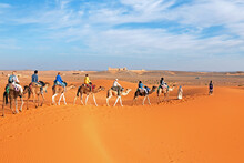 Camel Caravan Going Through The Sahara Desert In Morocco Africa