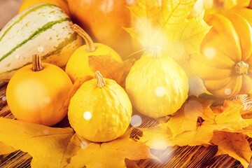 Canvas Print - Colorful bright pumkins. Autumn Backgraund. Halloween. Vegetables market