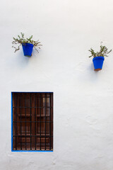 Poster - Flower pots on the wall in Cordoba