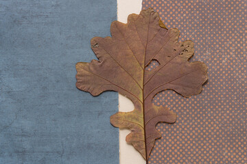 oak leaf and patterned paper