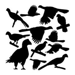 Wall Mural - Violet turaco bird animal silhouettes. Good use for symbol, logo,  icon, mascot, sign, or any design you want.