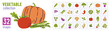 Vegetable collection. Onion, garlic, tomato, cucumber and carrot. Vector illustration bundle. Beets, pepper, potato and cabbage. Radish, eggplant, pumpkin and spinach