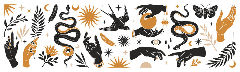 Wall Mural - boho mystical set with hands, snakes, moon, sun, magic, bird, floral elements in trendy bohemian occ