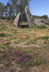 Wall Mural - Dolmen, prehistoric tomb in Galicia, Spain