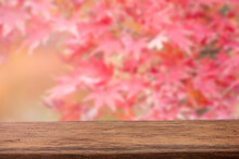 Mockup Wood Table For Product Display With Blurred Red And Pink Maple Leaves Background.