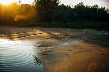 sunset in the forest