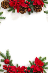 Wall Mural - christmas decoration. frame of flowers of red poinsettia, branch christmas tree, red berries and con