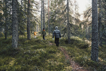 hiking in the woods