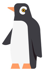 Poster - Penguin icon. Cute polar bird. Antarctic animal