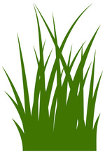 Green Grass Icon. Long Blade Leaves Silhouette