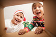 © Iryna Dincer - Happy surprised Caucasian little boys in Santa's hat looking inside a cardboard box, at home near Christmas tree, bottom view. Excited little children opening Christmas present.