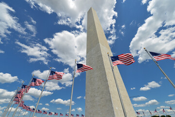 Wall Mural - Washington Monument and waving US national flags around it - Washington DC United States