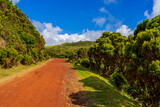 Fototapeta  - Droga na szlak turystyczny po polach siarkowych, Furnas De Enxofre, Terceira, Azores, Portugalia