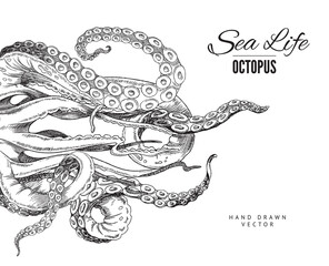 Wall Mural - Octopus tentacle vector sketch. Realistic squid or cuttlefish ink drawing, vintage line engraving. Sea food menu design.