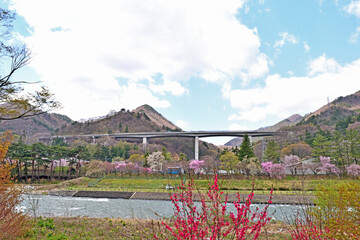 Wall Mural - 【群馬県利根郡】春の水上 桜咲く諏訪峡遊歩道