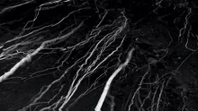 Exposed Tree Roots On Wet Soil With Raindrops Falling In Black And White. - Closeup Shot, Slow Motion