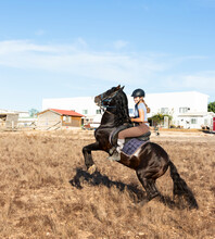 Young Woman Riding On Rearing Up Horse At Ranch On Sunny Day