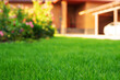 © Mikhailov Studio - Mowed green frontyard grass before residential suburban house summer sunny day