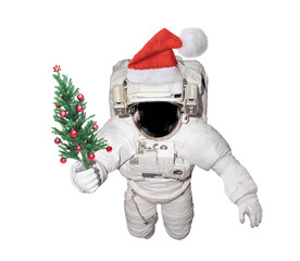 Wall Mural - Astronaut holds Christmas tree