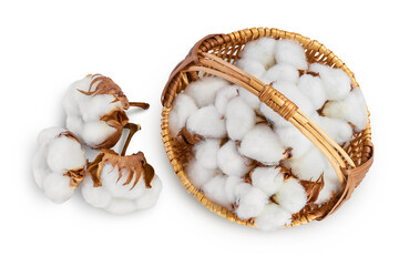 Wall Mural - Cotton plant flower in a wicker basket isolated on white background with clipping path and full depth of field. Top view. Flat lay