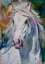 White Horse Head Painting Oil On Canvas Art Original