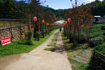 Canvas Print - path in the garden