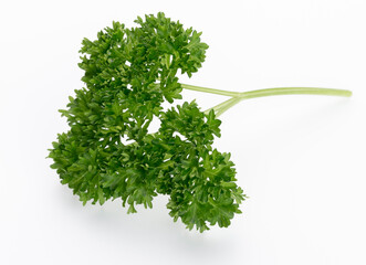 Wall Mural - Bio parsley leaf on white background.