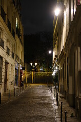 Wall Mural - A parisian street by night. 6th district, Paris, France. The 13th November 2021.