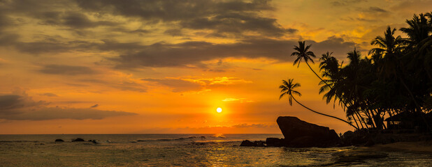 Canvas Print - Dalawella beach in Sri Lanka