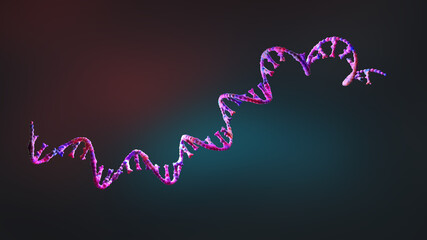 Ribonucleic acid strands consisting of nucleotides - 3d illustration