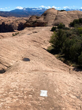 White Trail Marker On The Slick Rock Trail In Moab Utah 