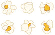 Popcorn Kernel Clipart Set - Color