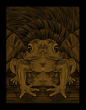 Illustration Vintage Frog With Engraving Style