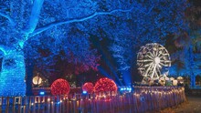 Christmas Light Ferris Wheel Timelapse