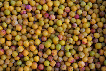 Canvas Print - top view of organic mirabelle plums