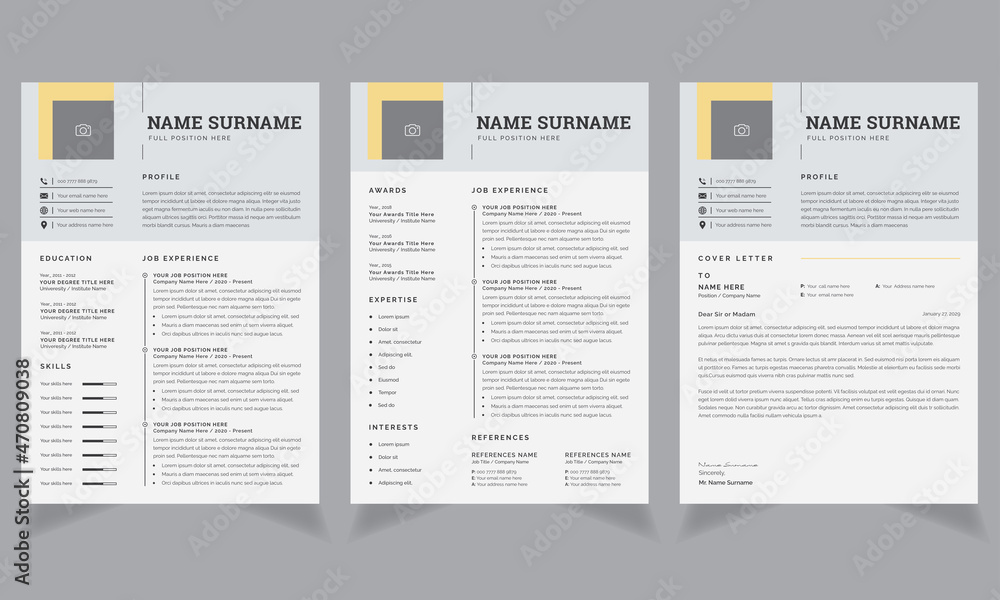 Professional resume layout, Creative cv template job applications Stock ...