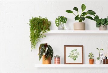 home decor indoor plant shelf