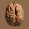 © fStop - Close up brown German walnut in shell