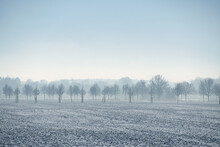 Winter Landscape With Trees And Field In Frosty Cold Christmas Time.
