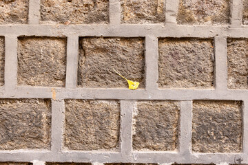 Wall Mural - stone wall texture fallen leaves