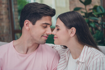 Poster - Portrait of attractive sweet cute dreamy cheery spouses sitting on comfy divan homey cuddling enjoying at home indoors