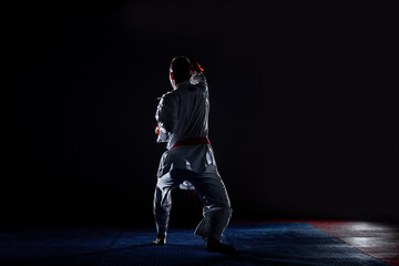 Wall Mural - The karate guy in white kimono and red belt training karate