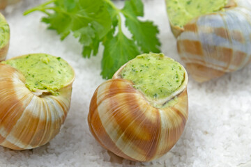 Wall Mural - escargots frais au four avec du persil et du beurre à l'ail sur une assiette